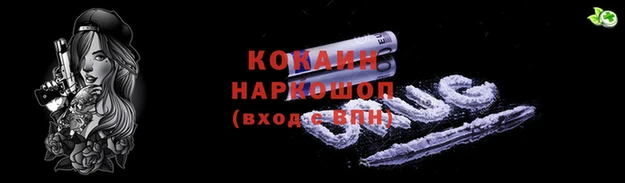 бошки Богданович