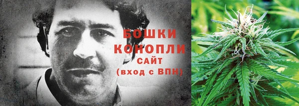 Альфа ПВП Белокуриха
