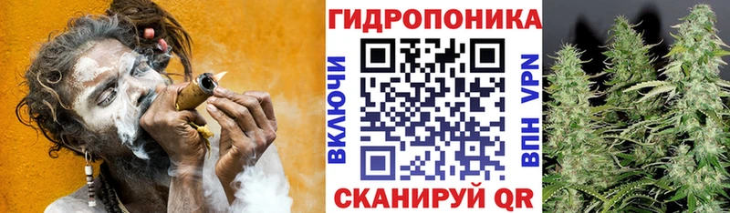 Бошки Шишки марихуана  MEGA ССЫЛКА  Болотное 